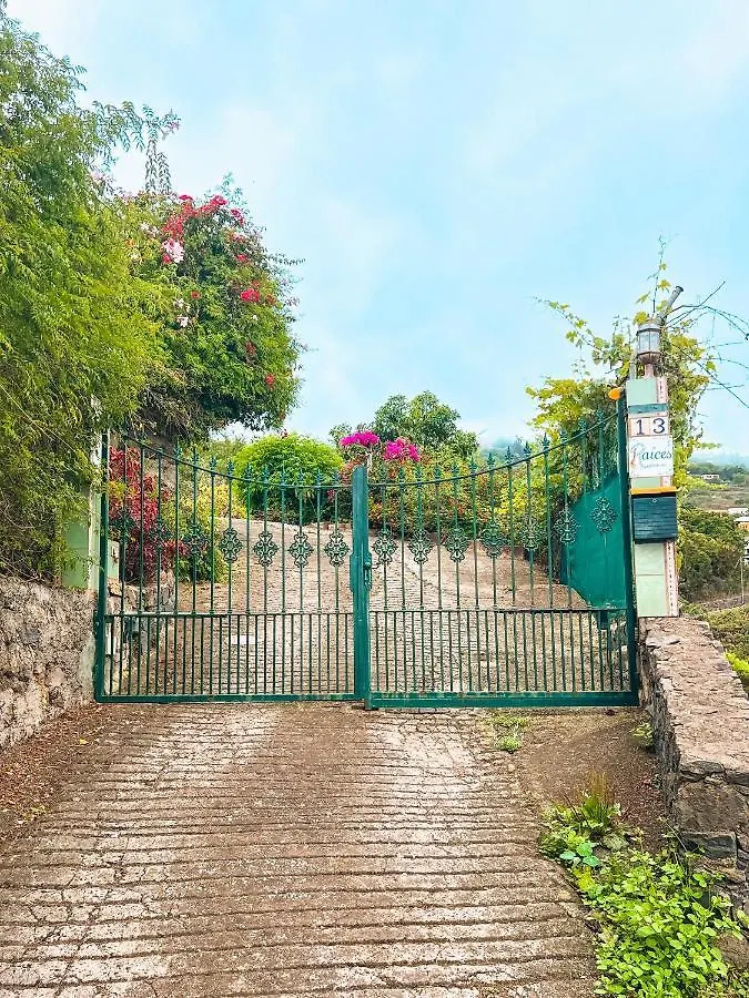 Sun-Soaked Apt W Patio, Balcony & Garden - Aguilas La Orotava