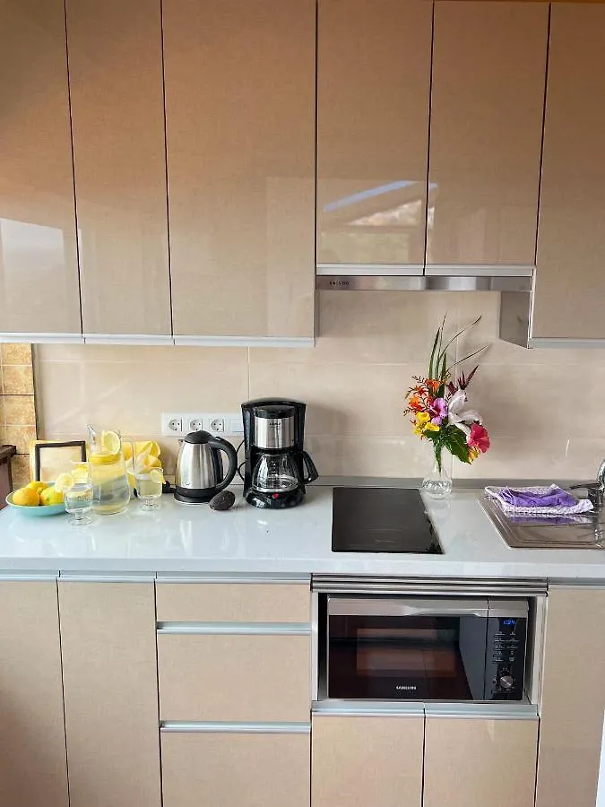 Holiday home Sun-Soaked Apt W Patio, Balcony & Garden - Aguilas La Orotava